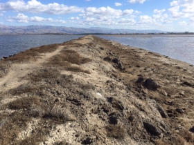 Levee at Alviso