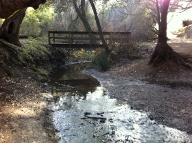 Rancho San Antonio, Los Altos, Ca