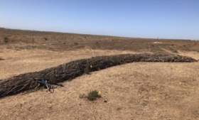 Foraging Islands, Byxbee Park